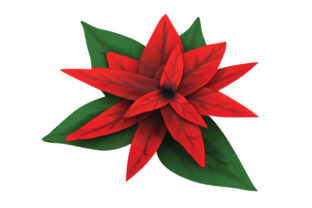 Poinsettia 3D Looking: A Designer’s Review for Crafts and Nature Amp Projects